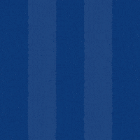 Football Goal GIF by Odense Boldklub