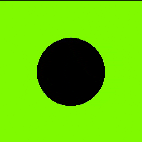 arrici arrici 아리씨 GIF