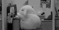 tired gif GIF