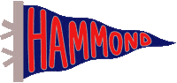 Skyhawks Sticker by Hammond School
