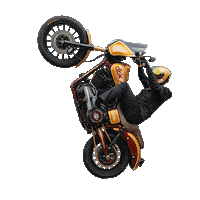 Harley Davidson Twitch Sticker by Dirt Bike Kidz