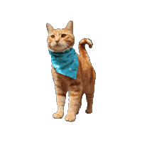 Cat Wanderlust Sticker by Geekster Pets