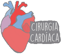 Heart Hospital Sticker