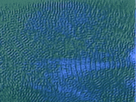 Once In A Lifetime GIF by Talking Heads