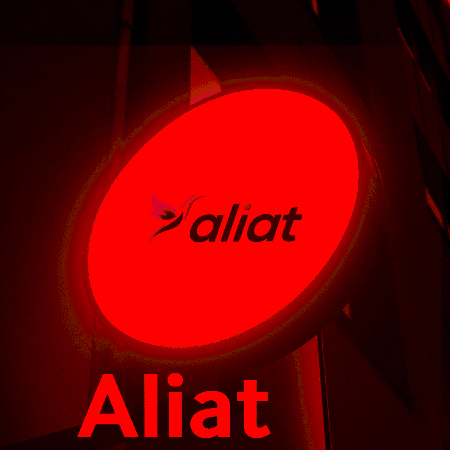 aliat0 giphygifmaker GIF