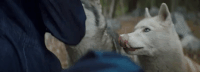 jai wolf GIF