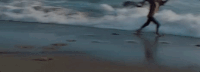 jai wolf GIF