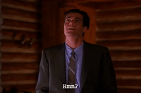season 2 GIF by Twin Peaks on Showtime
