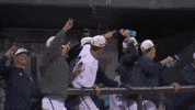 baseball eagles GIF by Georgia Southern Athletics