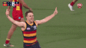Round 3 Celebration GIF by Adelaide Crows