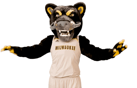Pounce Look At Me GIF by UW-Milwaukee