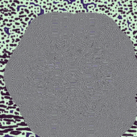 GIF by William Wolfgang Wunderbar