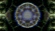 GIF by Leo Pyrata