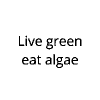 jongeriusecoduna healthy sustainable algae spirulina Sticker