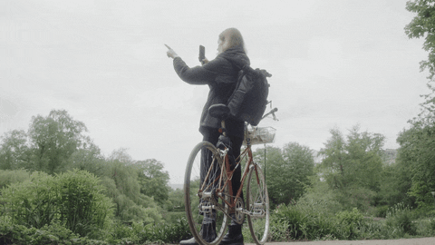 ievaviphoto giphyupload GIF