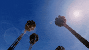 look up sub pop GIF by Sub Pop Records