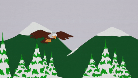bird flying GIF by South Park 