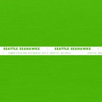 Football Nfl GIF by Seattle Seahawks