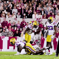 Lsu Football GIF by LSU Tigers