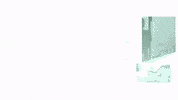 Dom GIF by New 11