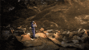hidden kingdoms wildlife GIF by BBC Knowledge Australia