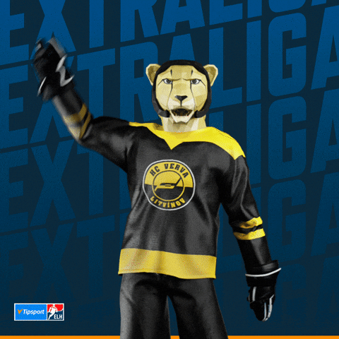 Hockey Hokej GIF by Tipsport extraliga