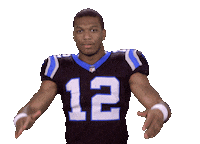 carolina panthers sticker by NFL