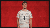 Fc Bayern Football GIF by Bundesliga