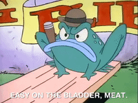 rockos modern life nicksplat GIF