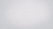 Robot GIF by Agility Robotics