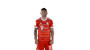 Lucas Hernandez Smile Sticker by FC Bayern Munich
