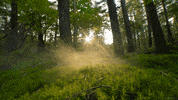 photography smoke GIF by Living Stills