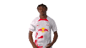 Football Sport Sticker by RB Leipzig