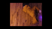Wanderkid GIF by JW Francis