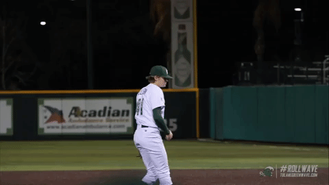 baseball wave GIF by GreenWave