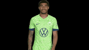 Oh No Bundesliga GIF by VfL Wolfsburg