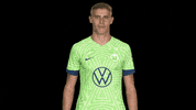 Oh No Bundesliga GIF by VfL Wolfsburg