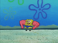utoledo college rockets utoledo universityoftoledo GIF