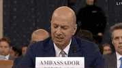 Quid Pro Quo Impeachment GIF