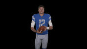 Football Nfl GIF by Detroit Lions