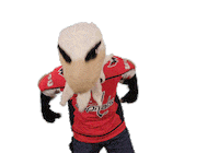 Ice Hockey Sport Sticker by NHL