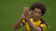 Borussia Dortmund Football GIF