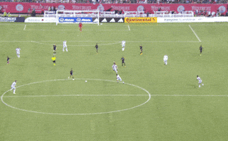 Football Goal GIF by Major League Soccer