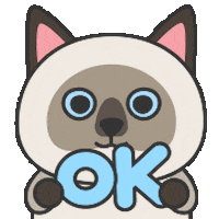 chou2_cat giphyupload ok 好 可以 Sticker
