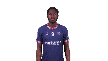 Sport Fun Sticker by Paris Saint-Germain Handball