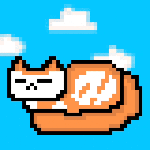 eynmaginaire cat ginger ollie ollie the cat GIF