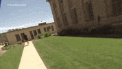 friend zone internet GIF by The Runner go90