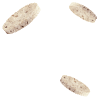 Snack Rice Sticker by Rampinelli Alimentos