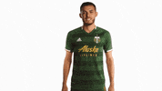 Portland Timbers Thumbs Up GIF by Timbers