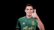 portland timbers thumbs up GIF by Timbers